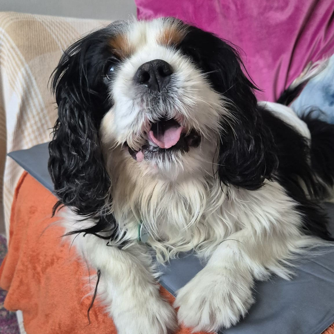 2024_2025 - Murphy - 1.jpg